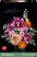LEGO Botanicals 10342