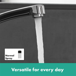 Смеситель Hansgrohe Focus E2 31806000, хром