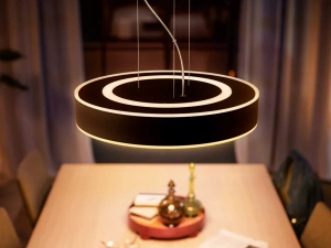 Умный потолочный светильник Philips Hue Enrave Pendant white ambiance 915005998101, черный