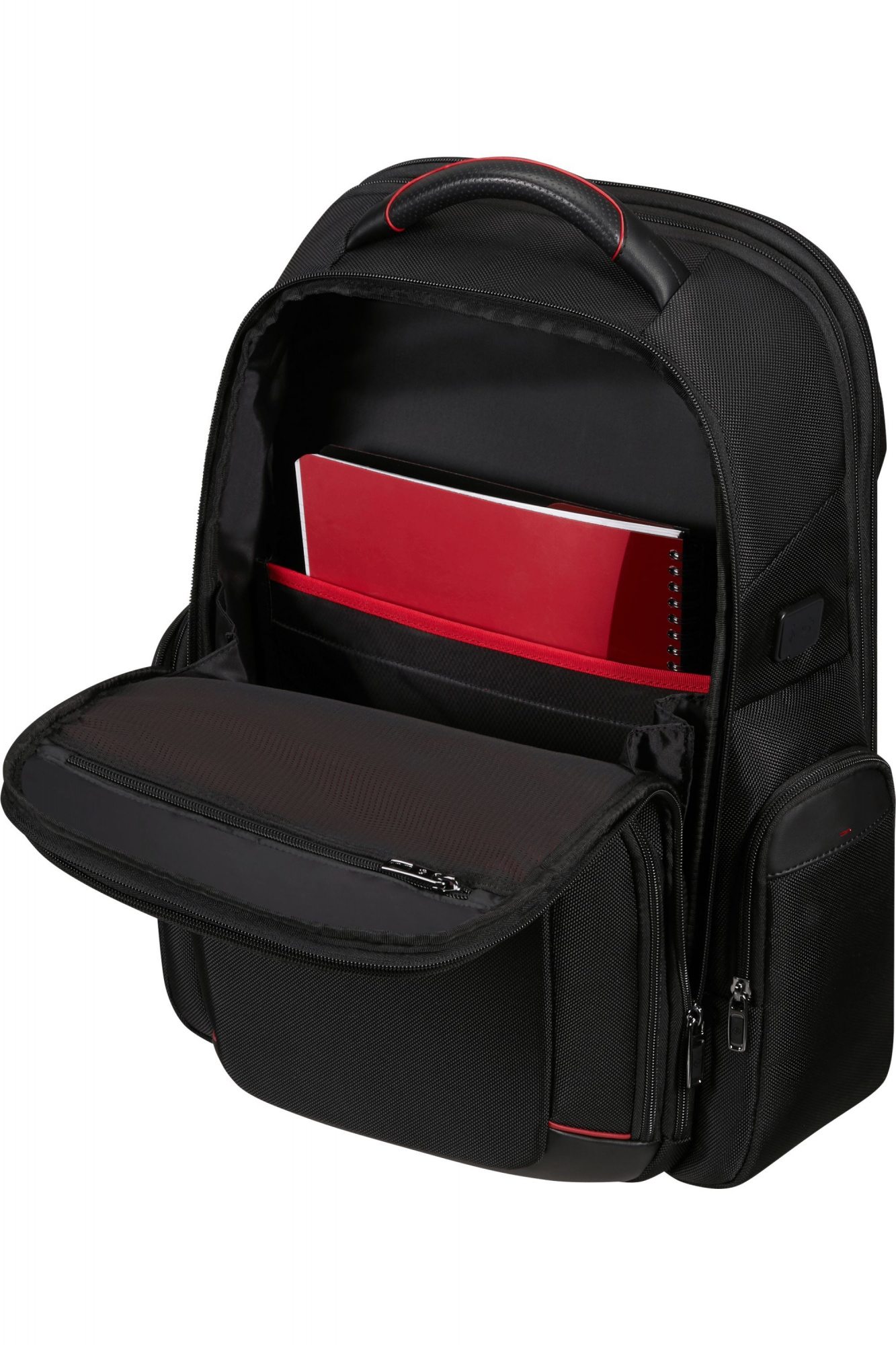 Рюкзак Samsonite Pro DLX 6 147138-1041 17.3" 24.5/33л Black