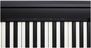 Цифровое пианино Roland FP-10 черный