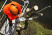 Бензопила STIHL MS 194 T 11372000319