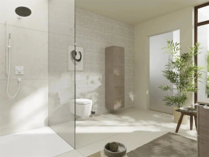 Ручной душ Hansgrohe Pulsify S 100 1Jet EcoSmart Slim, белый матовый 24125700
