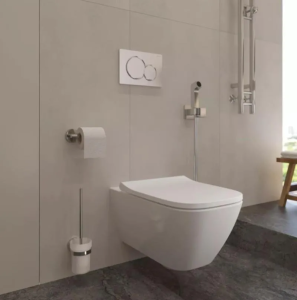 Гигиенический душ Hansgrohe Bidette E 1jet 29233000, внешняя часть со смесителем, хром