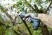 Аккумуляторный секатор Bosch Pro Pruner Professional 06019K1021