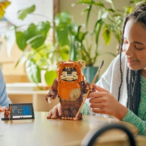 Конструктор LEGO Star Wars 75430 Эвок Викет
