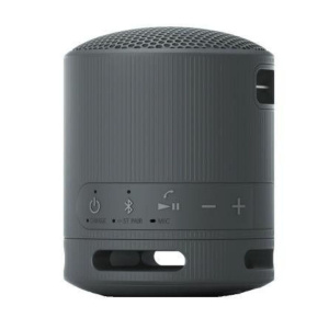 Sony Беспроводная акустика SRS-XB100, черный