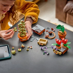 Конструктор LEGO Harry Potter 76474 Растения с урока травологии в Хогвартсе