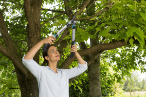Сучкорез GARDENA EasyCut 500B