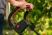 Газонокосилка аккумуляторная Bosch ROTAK18V2-43 06008B9L01