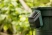 Садовая помпа Bosch Gardenpump 18V-2000 06008C4203