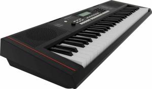 Roland E-X10 синтезатор с автоаккомпанементом, 61 клавиша, 64 полифония, 207 стилей, 610 тембров