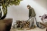Пылесос Karcher KWD 3 S V-15/4/20 1000 Вт + 5 мешков 1.628-448.0