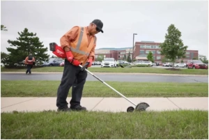 Аккумуляторный триммер Milwaukee M18 FEDG-0 4933493556