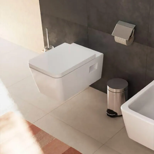 Подвесной унитаз Hansgrohe Elupura Original Q 60289450