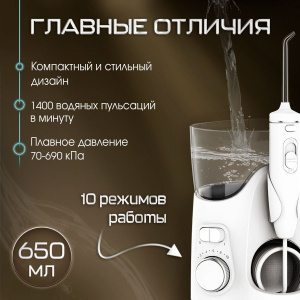 Ирригатор Waterpik WF-06 EU