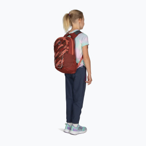 Городской Детский рюкзак Osprey Daylite Jr 9 л Brush Strokes Print Red Canyon