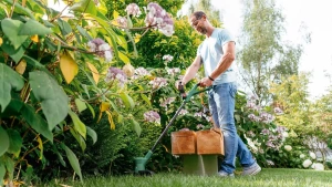 Аккумуляторный триммер Bosch EasyGrassCut 18V-26 06008C1C03