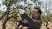 Аккумуляторный секатор Bosch Pro Pruner Professional 06019K1021