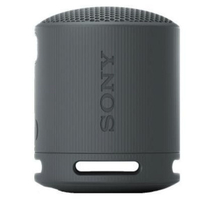 Sony Беспроводная акустика SRS-XB100, черный