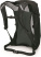 Рюкзак Osprey Hikelite 18 Черный