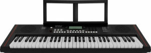 Roland E-X10 синтезатор с автоаккомпанементом, 61 клавиша, 64 полифония, 207 стилей, 610 тембров