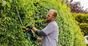 Электрический кусторез Bosch EasyHedgeCut 45 0600847A05