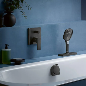 Ручной душ Hansgrohe Raindance Select E EcoSmart 28728340, шлифованный черный хром