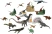 Адвент-календарь Mattel Jurassic World JGB67