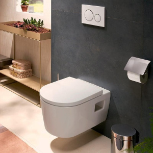 Сиденье для унитаза Hansgrohe EluPura Original S без микролифта 60147450
