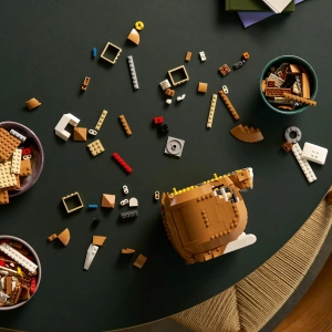 Конструктор LEGO Ideas 21376 Рыжий кот