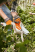 Пила аккумуляторная Stihl GTA 26