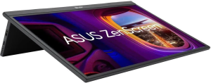 Монитор Asus ZenScreen MB17AHG 17,3" (90LM08PGB01170)