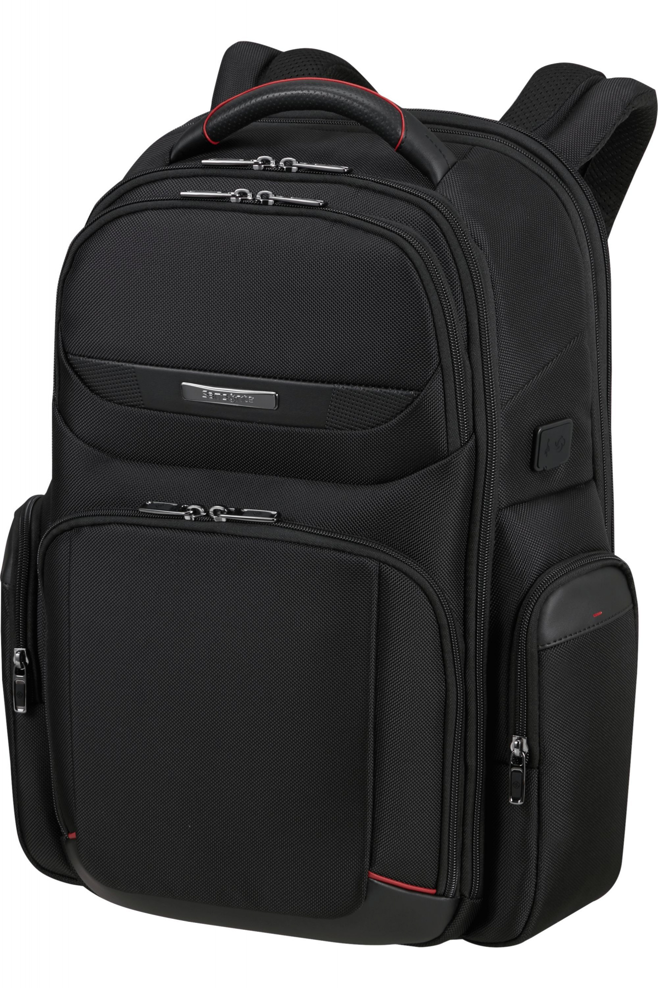 Рюкзак Samsonite Pro DLX 6 147138-1041 17.3" 24.5/33л Black
