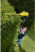 Аккумуляторный кусторез Stanley SFMCPH845B