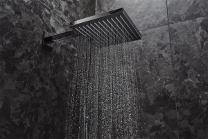 Душевой кронштейн Hansgrohe, хром 24337000