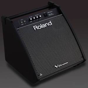 ROLAND PM-100 Сценический монитор