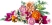 LEGO Botanicals 10342