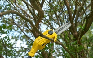 Аккумуляторная цепная пила Stanley SFMCPS720BXJ