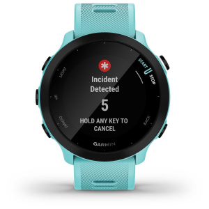 Умные часы Garmin Forerunner 55 42 мм, аква