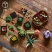 Конструктор LEGO ICONS 10309 Суккуленты