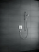 Душевой набор Hansgrohe Raindance S 26631400, белый/хром