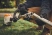 Коса механическая Stihl FSS-KM