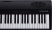 Цифровое пианино Roland GO:PIANO88 черный