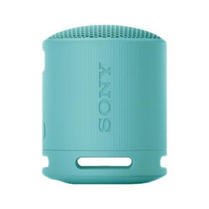 Sony Беспроводная акустика SRS-XB100, светло-зеленый
