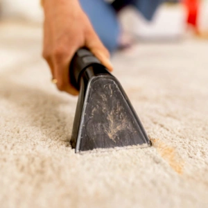 Моющий пылесос Karcher SE 2 Spot 1.081-410.0