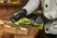 Многофункциональный мультитул (реноватор) RYOBI RMT18-0 (5133005346)