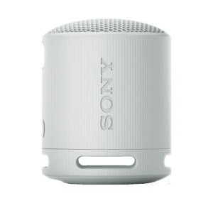 Sony Беспроводная акустика SRS-XB100, серебристый