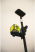 Штанга телескопическая RYOBI RBCLTP1