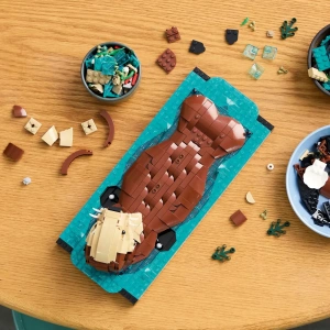 Конструктор LEGO Ideas 21366 Плавающие выдры